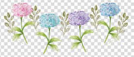 花 