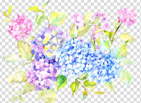 花 