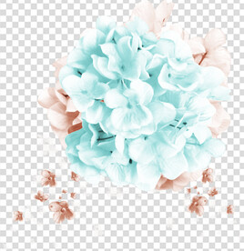 花 