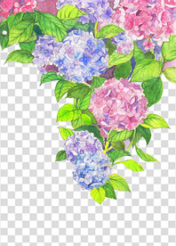 花 