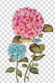 花 