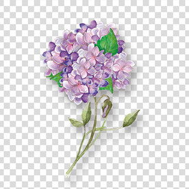 花 
