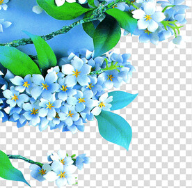 花 
