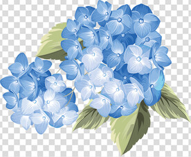 花 