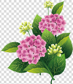 花 