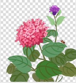 花 