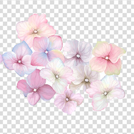 花 