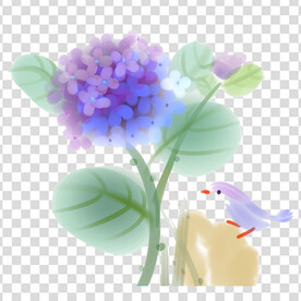 花 