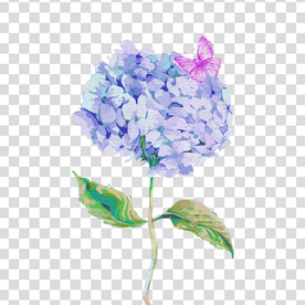 花 