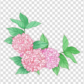 花