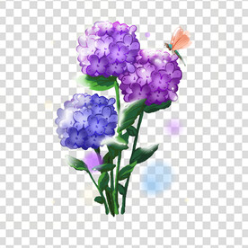 花 