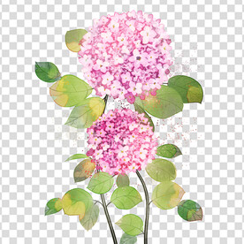 花 