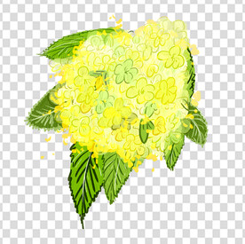 花 