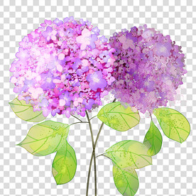 花 