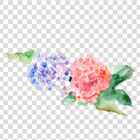花 