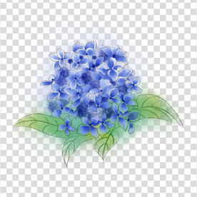 花 