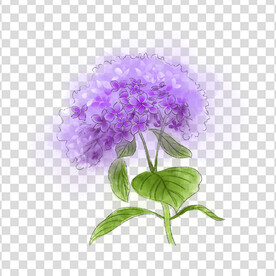 花