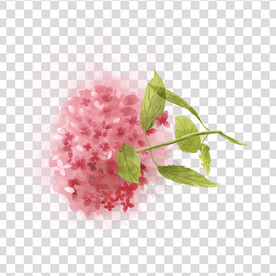 花 