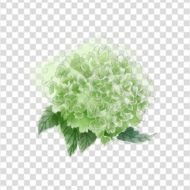 花 