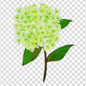花 