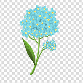 花 
