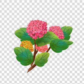 花 