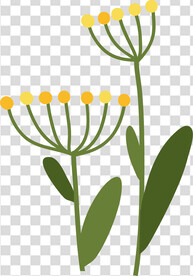 花