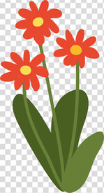 花