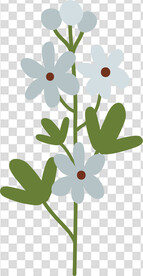 花
