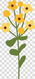 花 