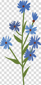 花 