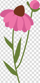 花 