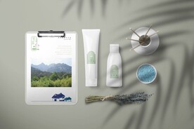 高端酒店品牌VI样机PSD模板
