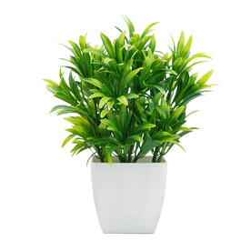 植物盆栽