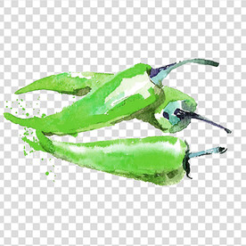 辣椒 