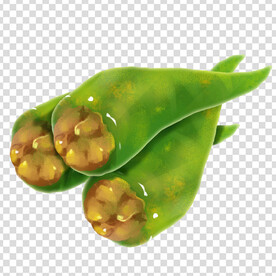 辣椒  