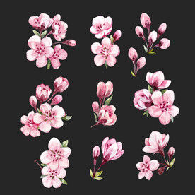 桃花 
