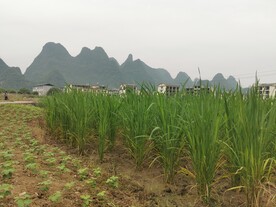 桂林山水