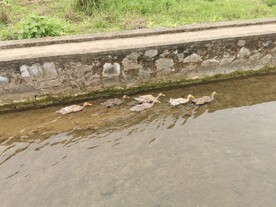桂林山水 