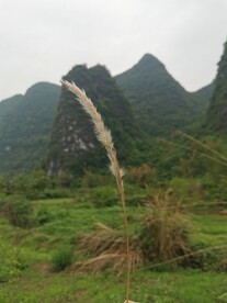桂林山水