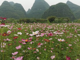 桂林山水