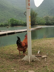 桂林山水 