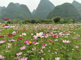 桂林山水
