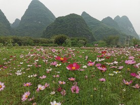 桂林山水 