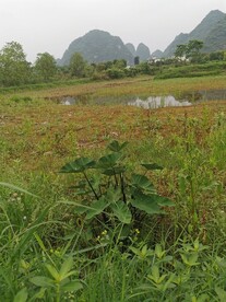 桂林山水