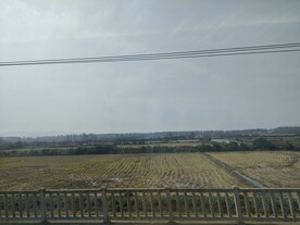 高铁窗外风景农田水田