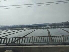 高铁窗外水田水塘田地农田