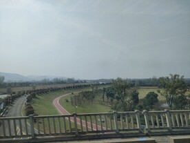 高铁窗外风景麦田田地