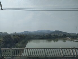 高铁窗外的风景水塘田地