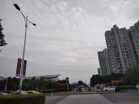 城市繁忙的红绿灯路口斑马线